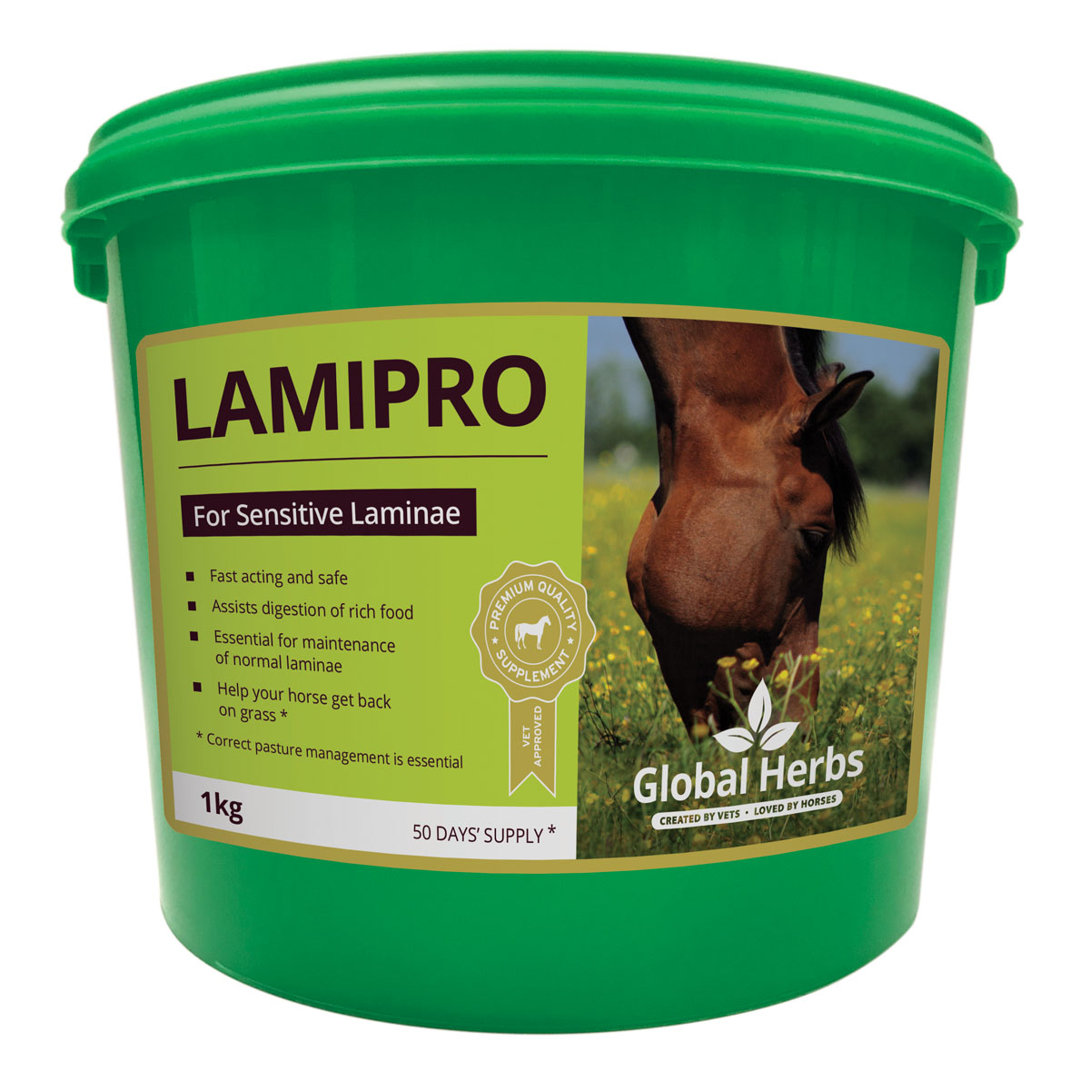 Global Herbs LamiPro Powder Size 1 KG