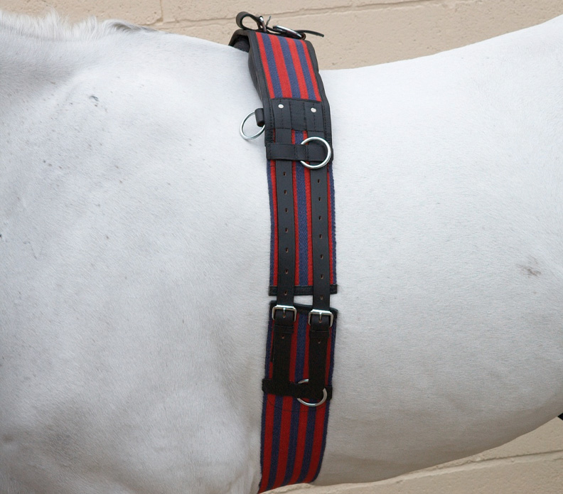 Hy Equestrian Training Roller Blue