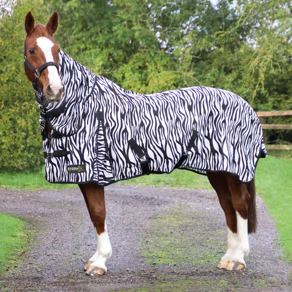 Storm X Original Zebra Print Fly Rug Black