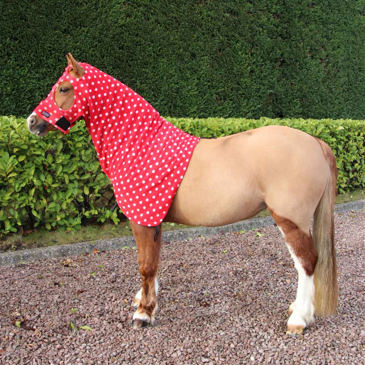 Supreme Products Dotty Fleece Hood Red