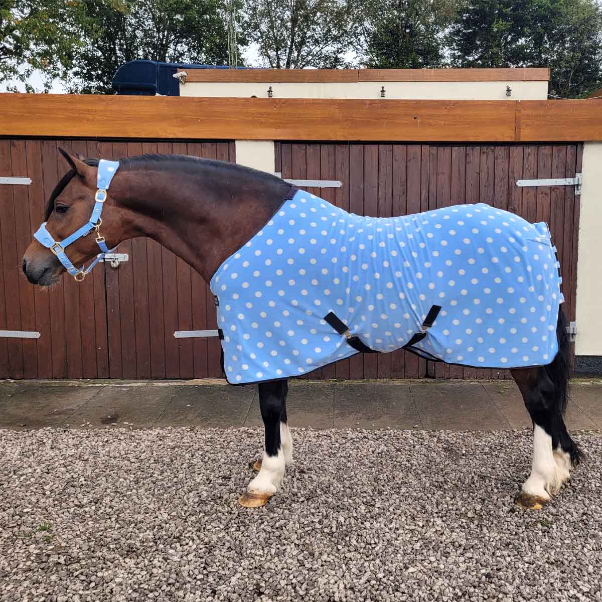 Supreme Products Dotty Fleece Rug Blue