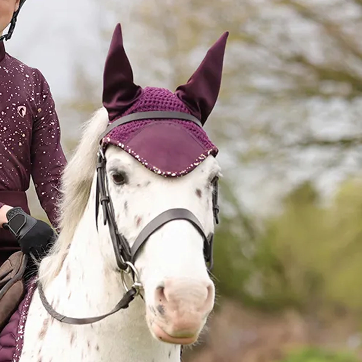 Hy Equestrian Enchanted Collection Fly Veil Plum