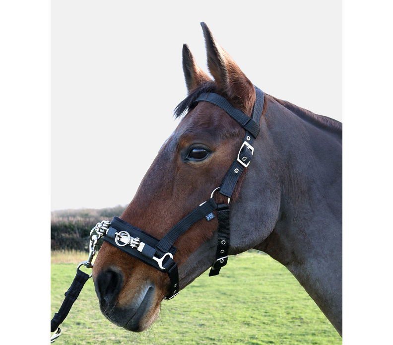 Hy Equestrian Lunge Cavesson Black