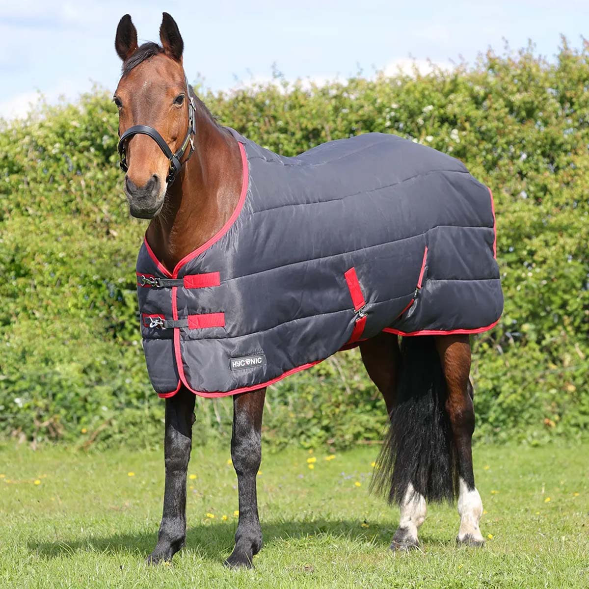 HyCONIC 100g Stable Rug Grey