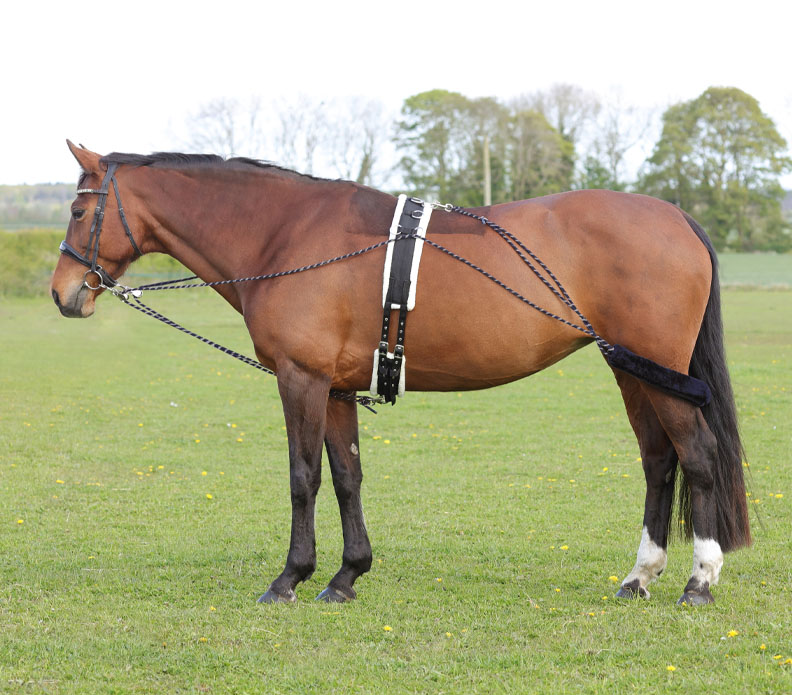 Hy Equestrian Lunging System Navy Blue