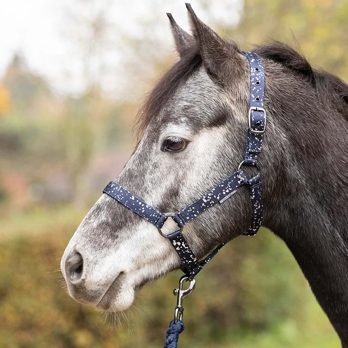 Hy Equestrian Elevate Allure Headcollar & Lead Rope Navy & Gunmetal Grey