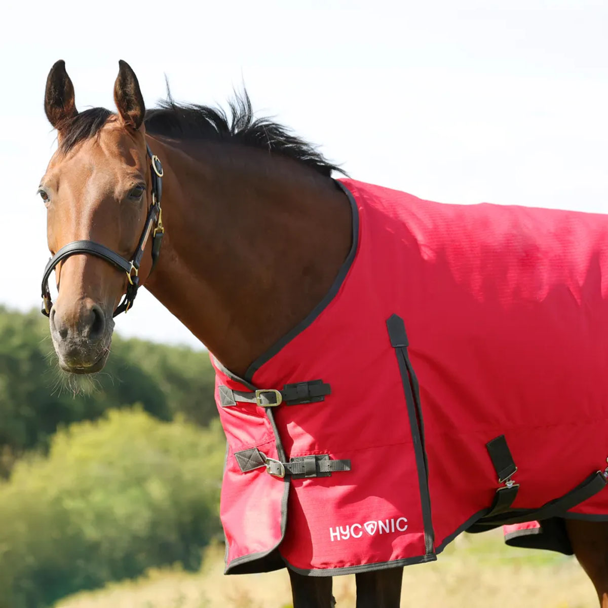 HyCONIC 100g Turnout Rug Red