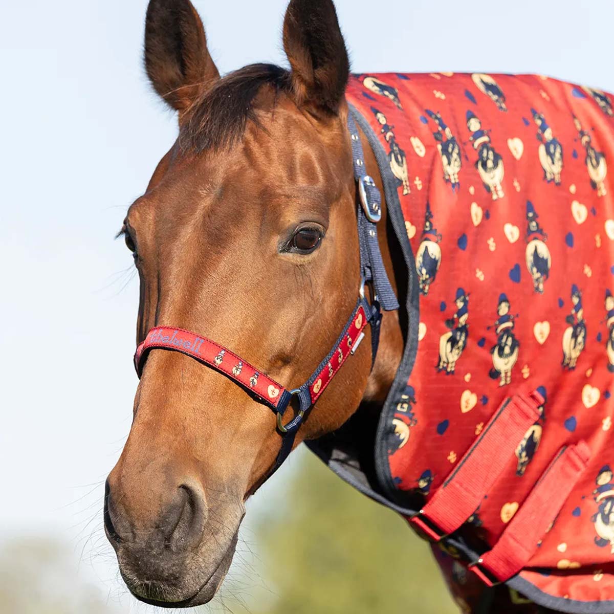 Hy Thelwell Balancing Act Headcollar & Lead Rope Red