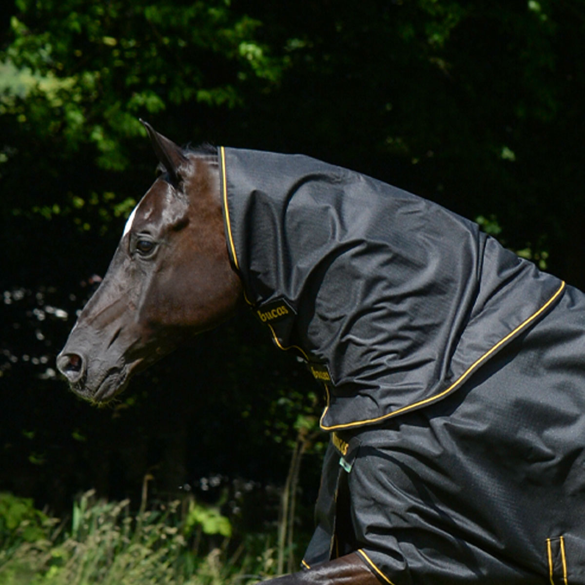Bucas Irish Turnout Combi Neck Cover Black