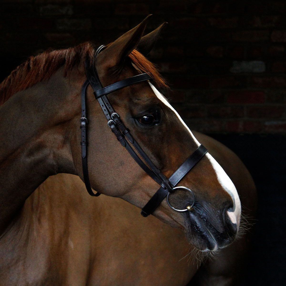 Cottage Craft Cavesson Bridle Brown