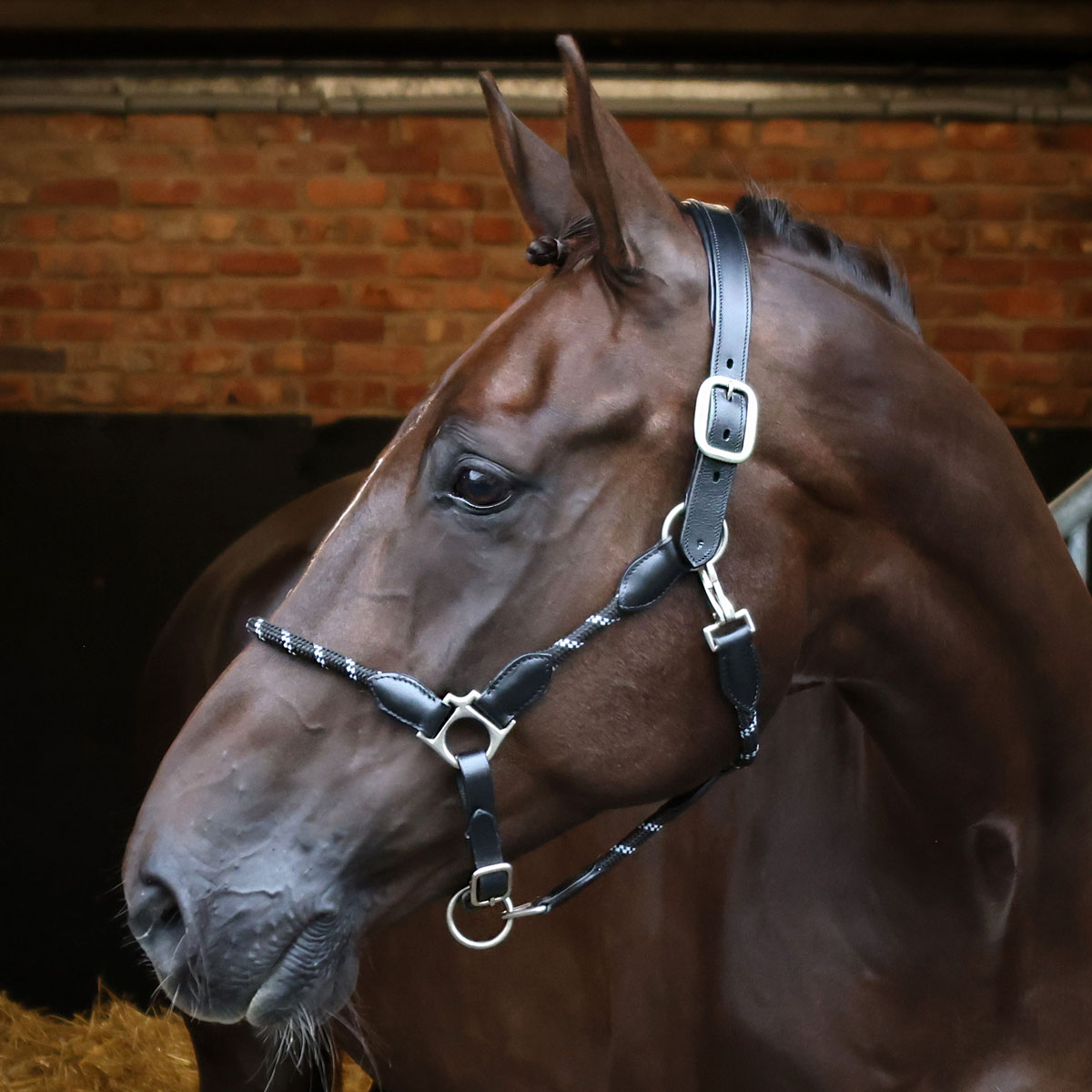 Cottage Craft Leather Rope Headcollar Black