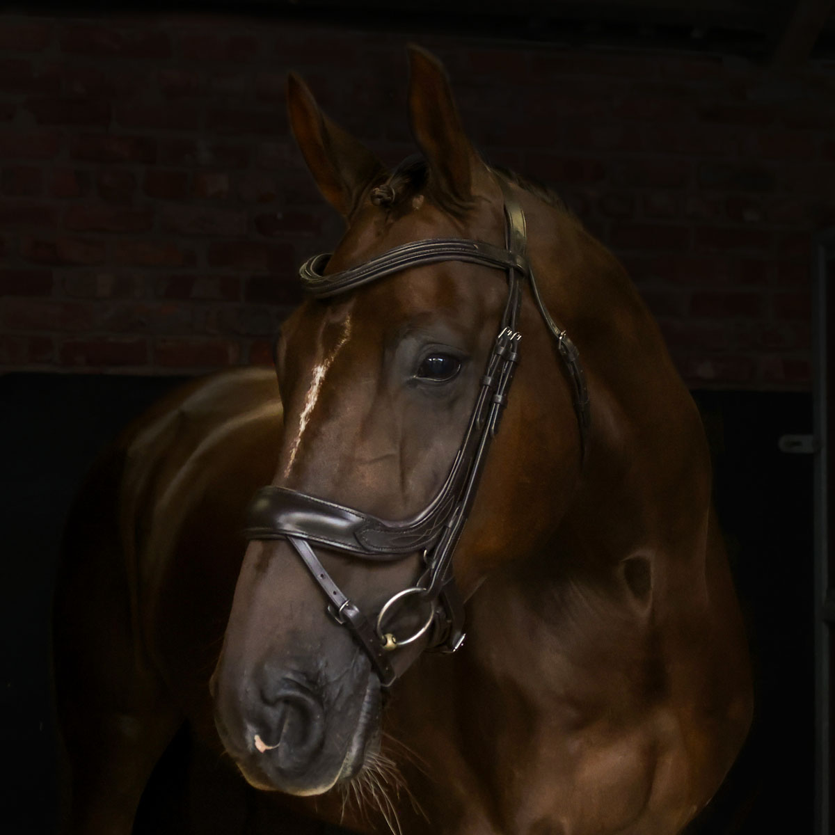 Cottage Craft Ergonomic Flash Bridle Brown