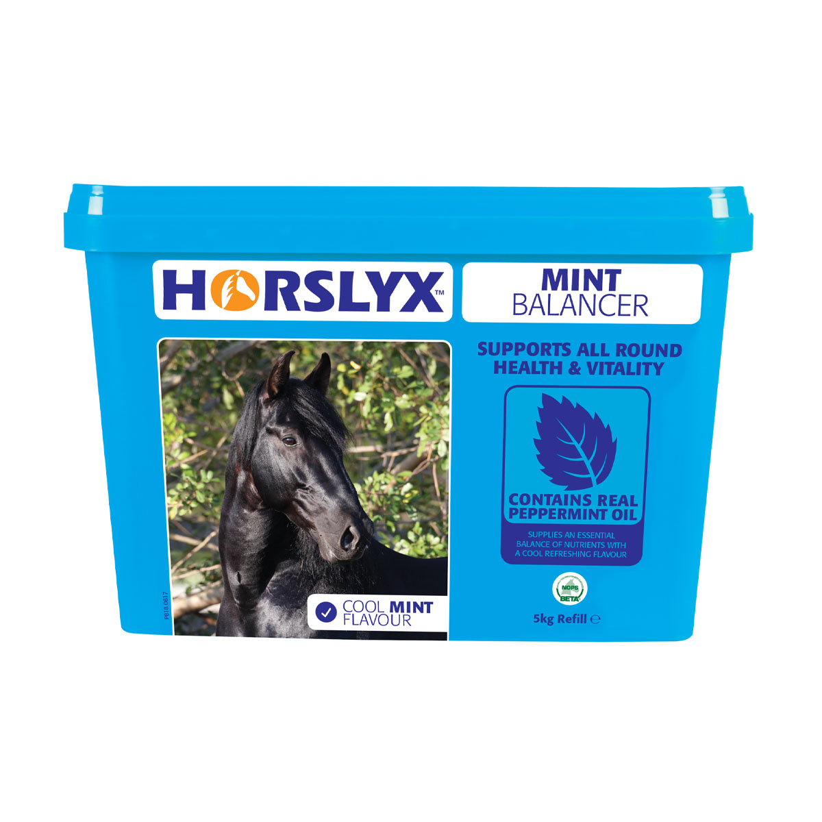 Horslyx Mint Balancer Lick - 5kg
