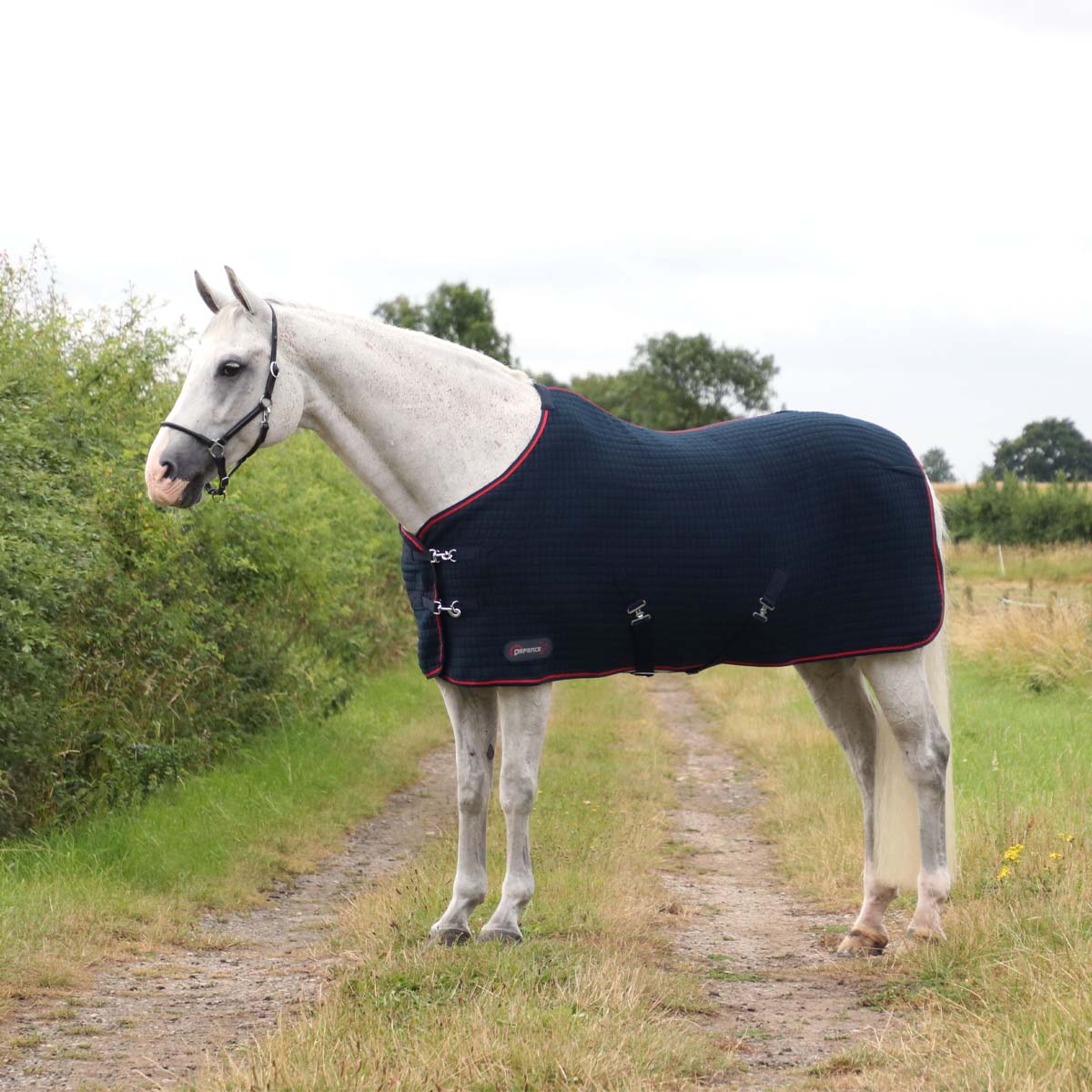 DefenceX System Cool Control Rug Navy Blue