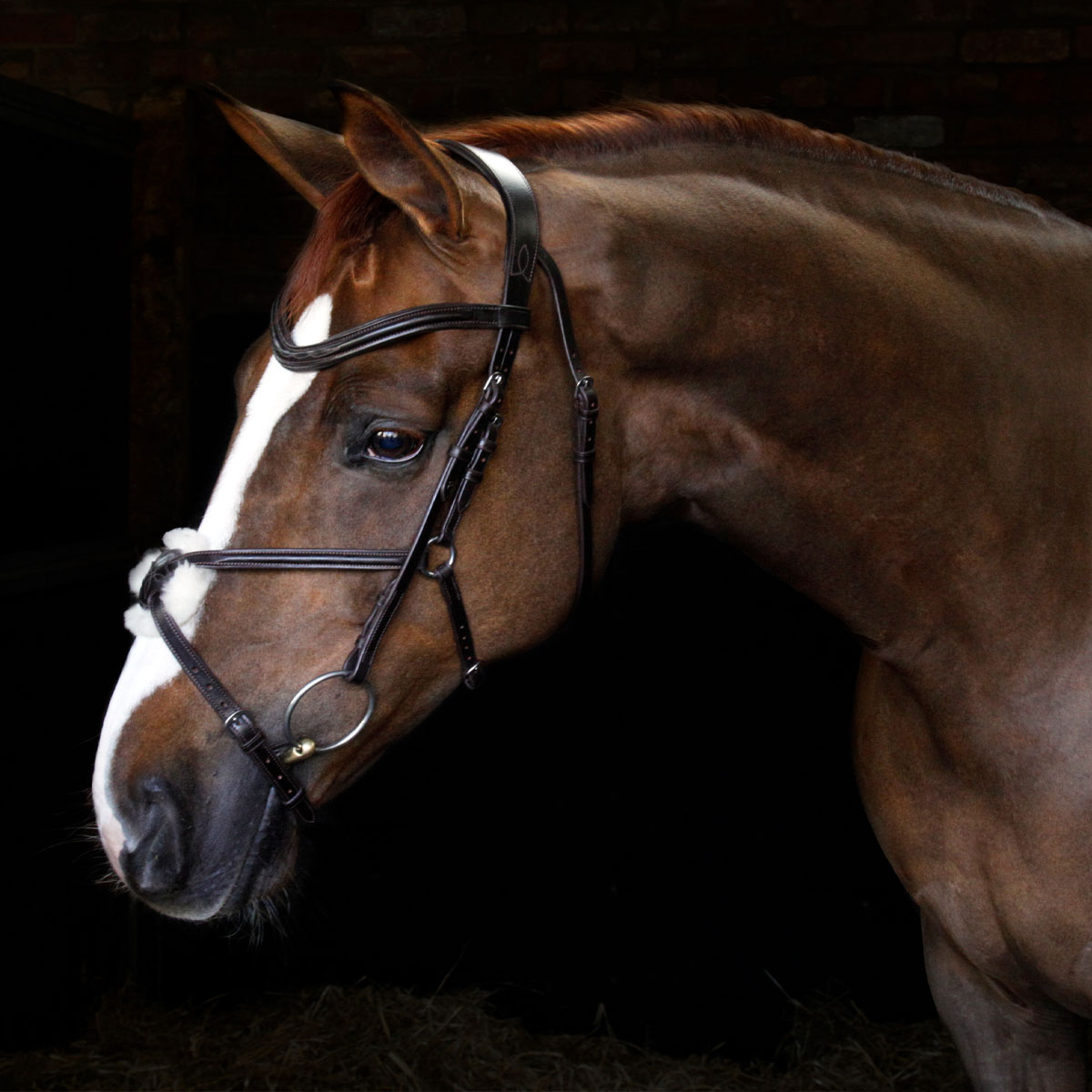Cottage Craft Grackle Bridle Brown