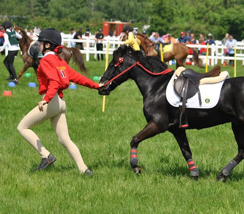 Jod-Z Ultimate Equestrian Legging Buttermilk Beige