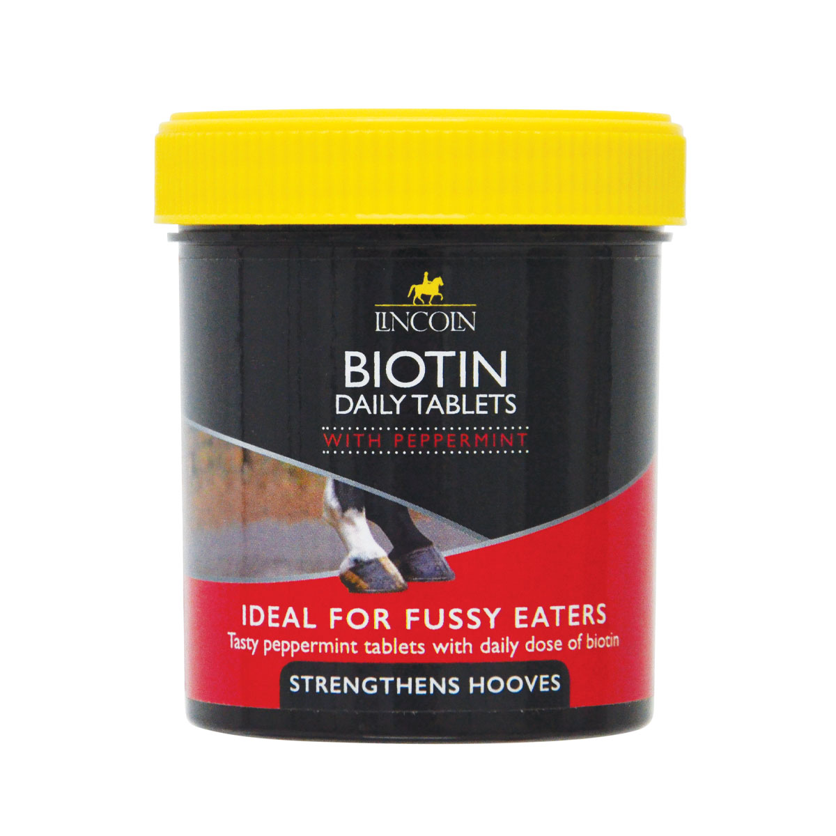 Lincoln Biotin Daily Tablets