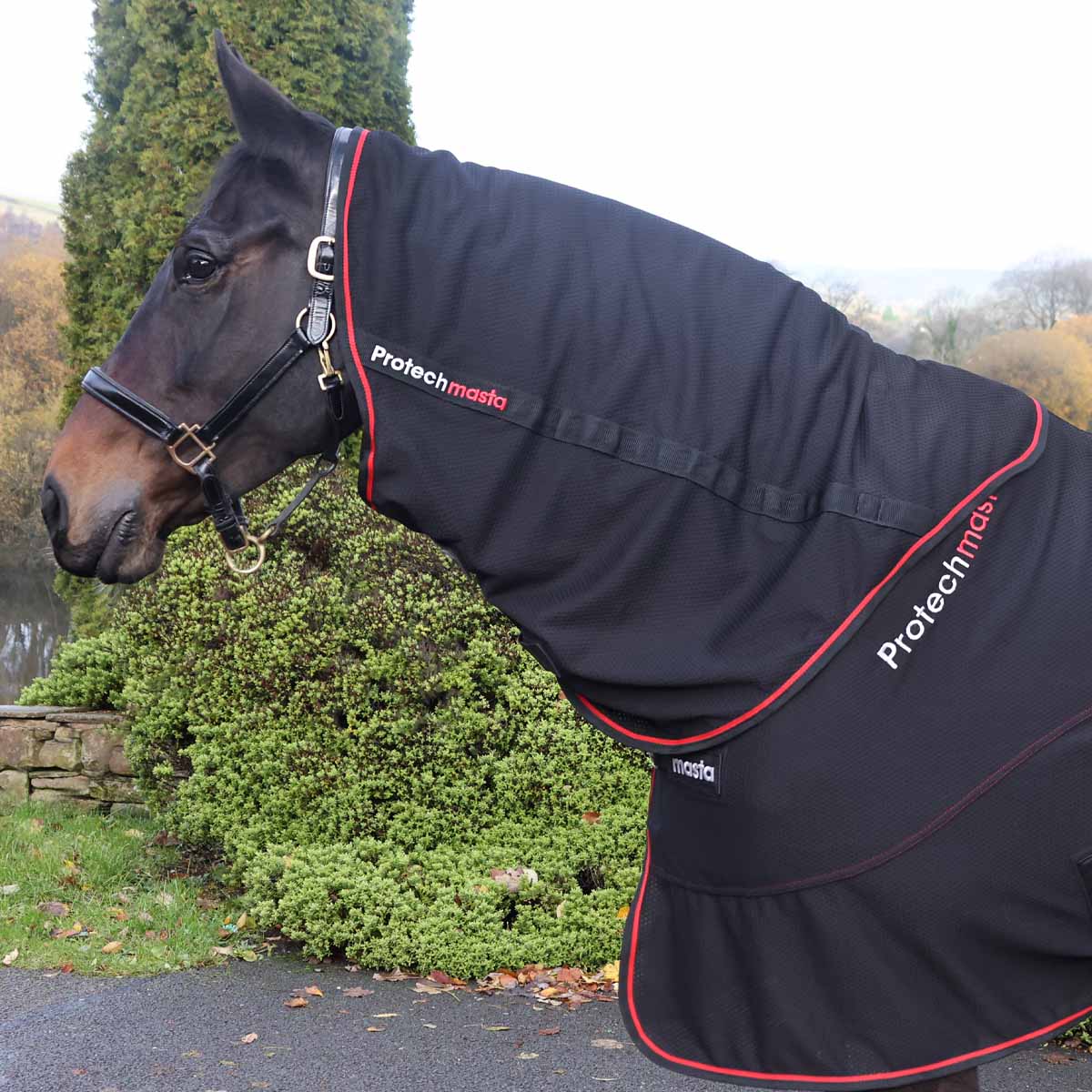 Protechmasta Far Infrared Therapy Cooler Rug Neck Cover Black