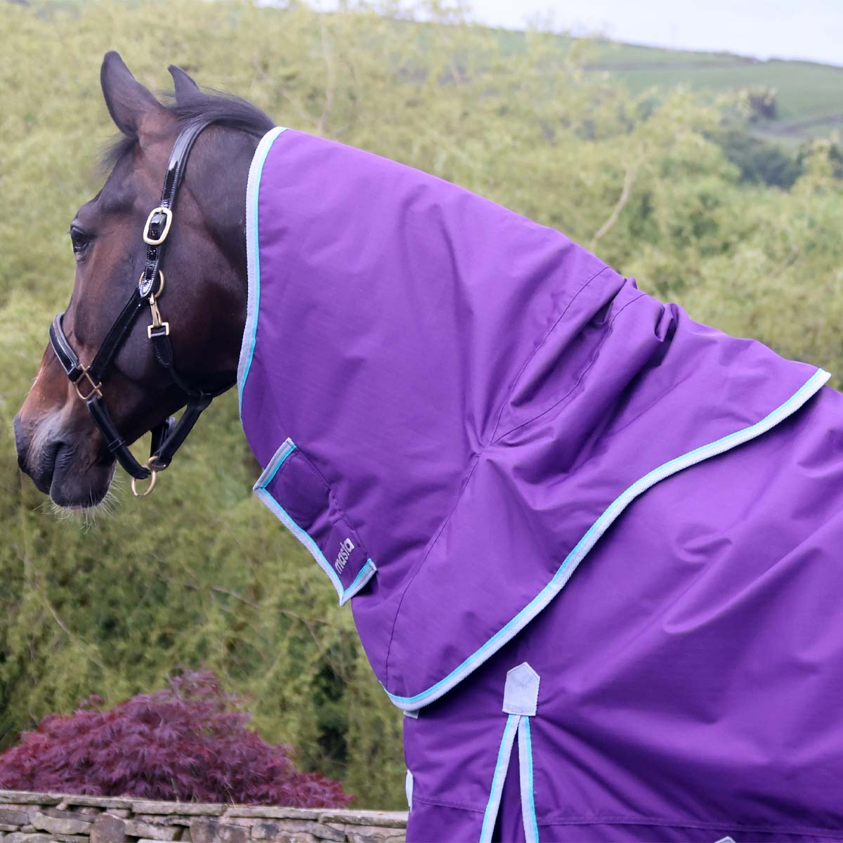 Ventomasta 50g Lightweight Neck Cover Dark Purple