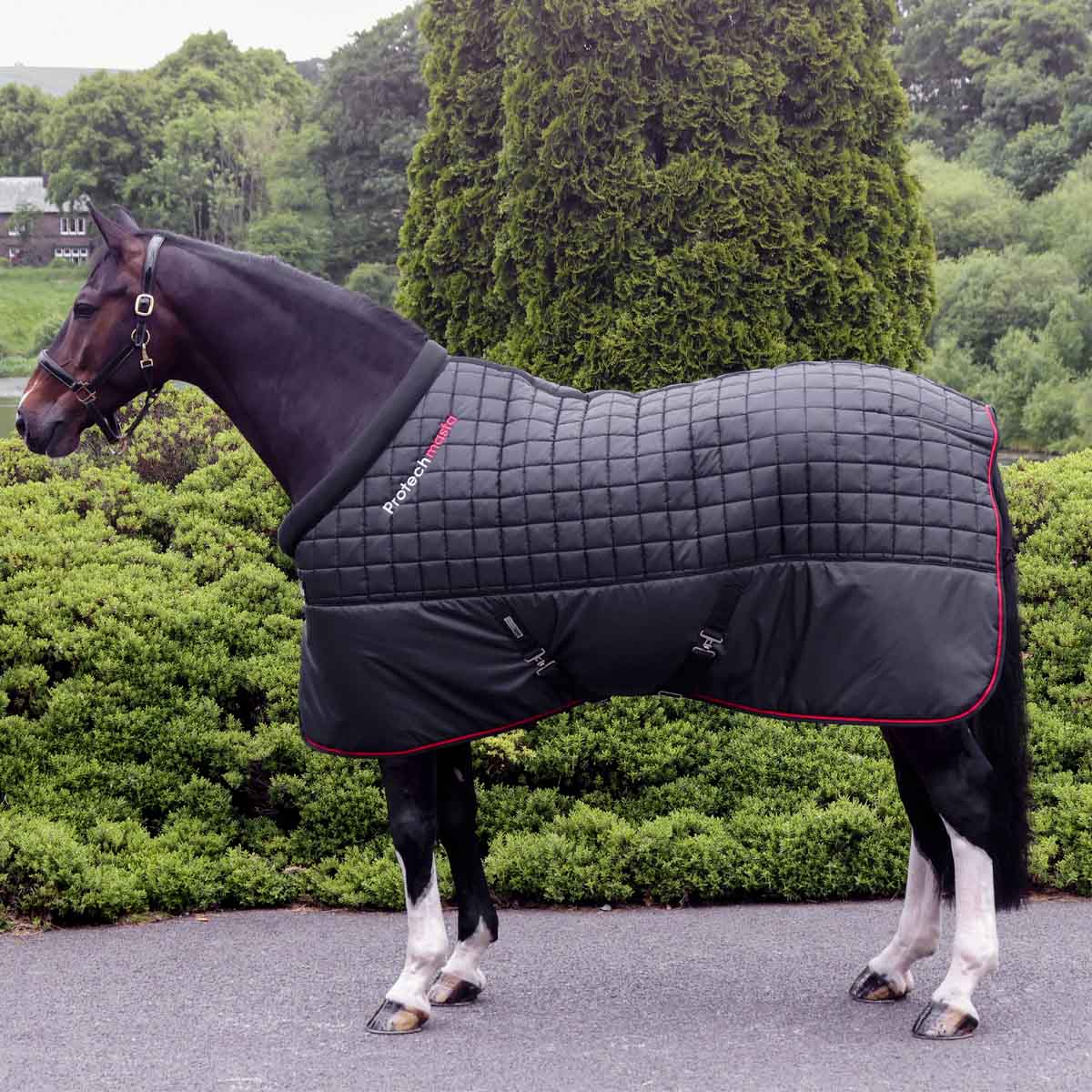 Protechmasta Far Infrared Therapy 200g Mediumweight Stable Rug Black