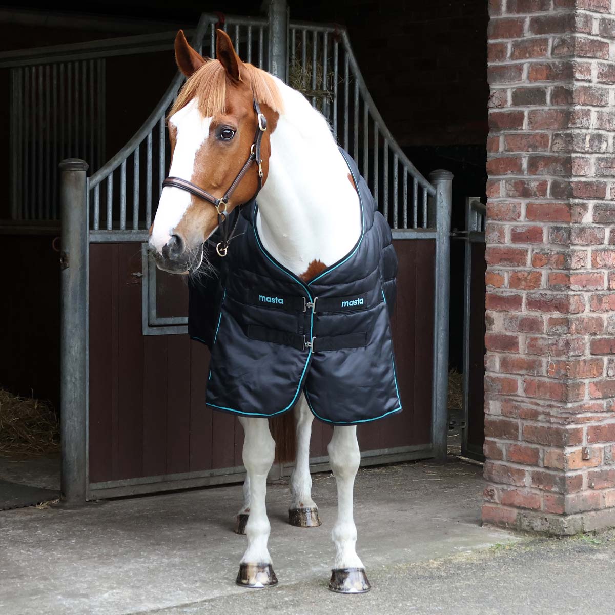 Ventomasta 200g Mediumweight Standard Neck Stable Rug Black