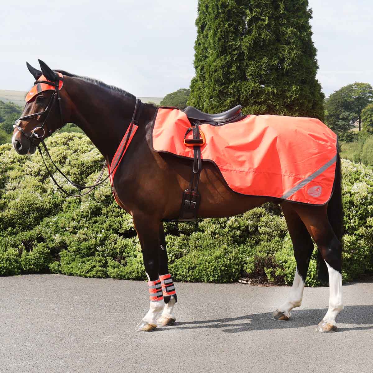 Masta Waterproof Wrap Around Exercise Sheet Orange