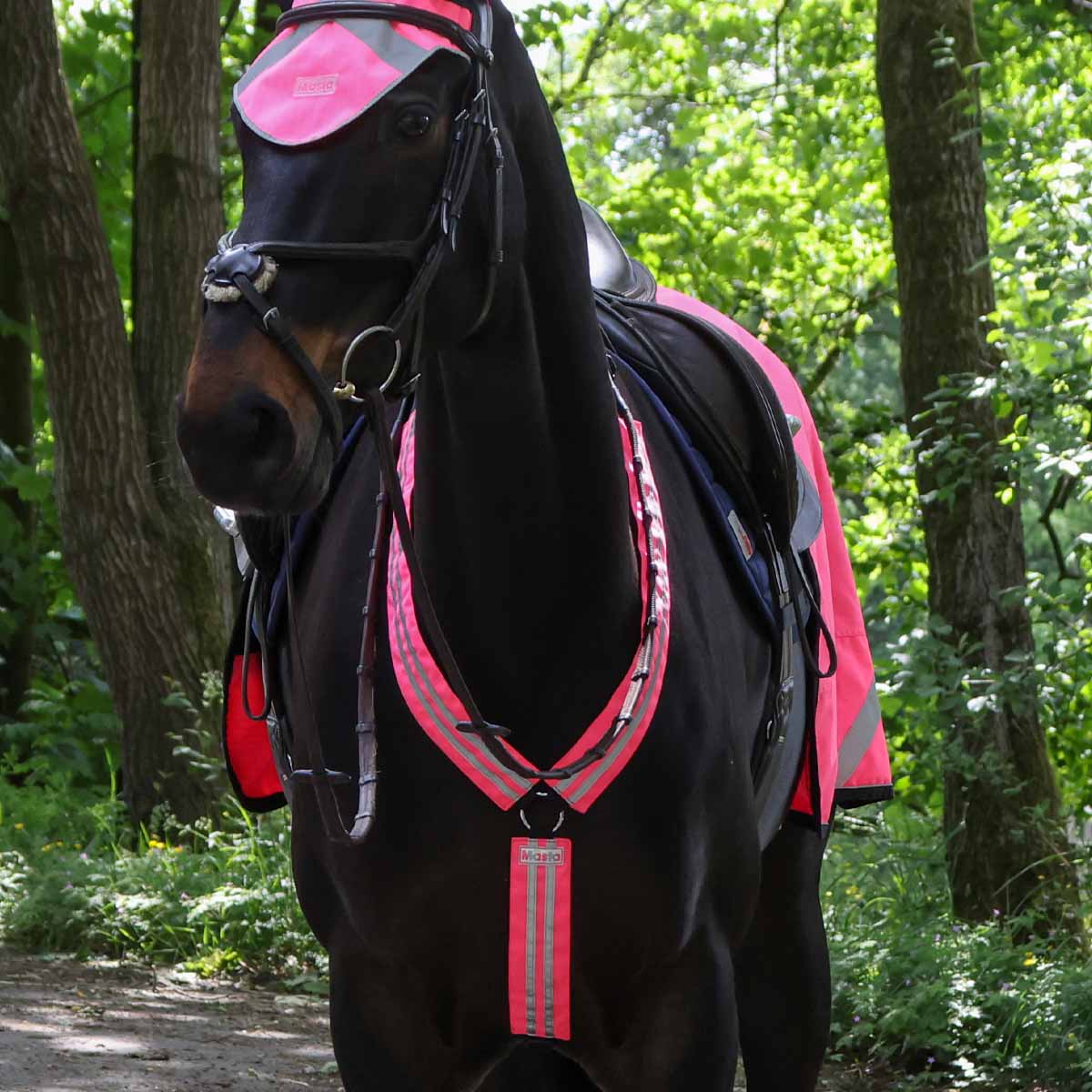 Masta Hi Viz Breast Plate Pink
