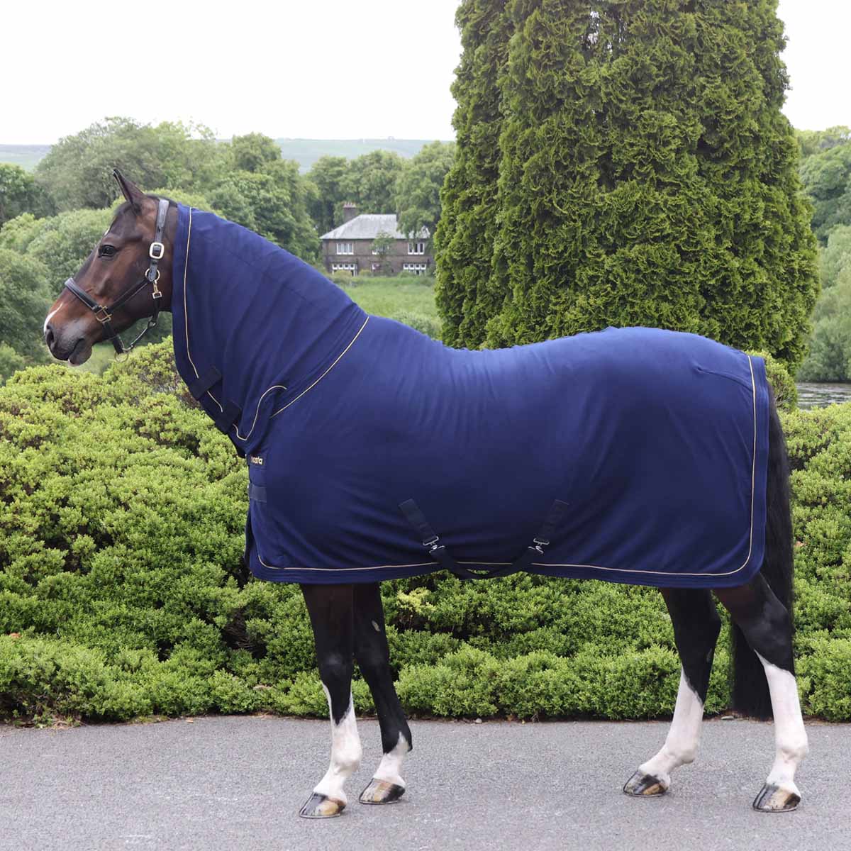 Masta Combo Neck Fleece Rug Navy Blue