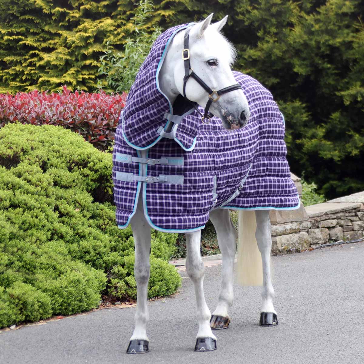 Snugmasta 250g Mediumweight Combo Neck Stable Rug Dark Purple