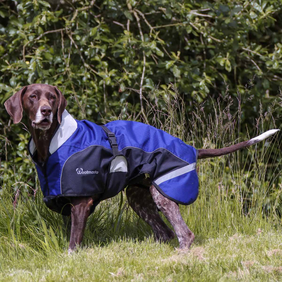 Woofmasta Waterproof Dog Coat Navy Blue