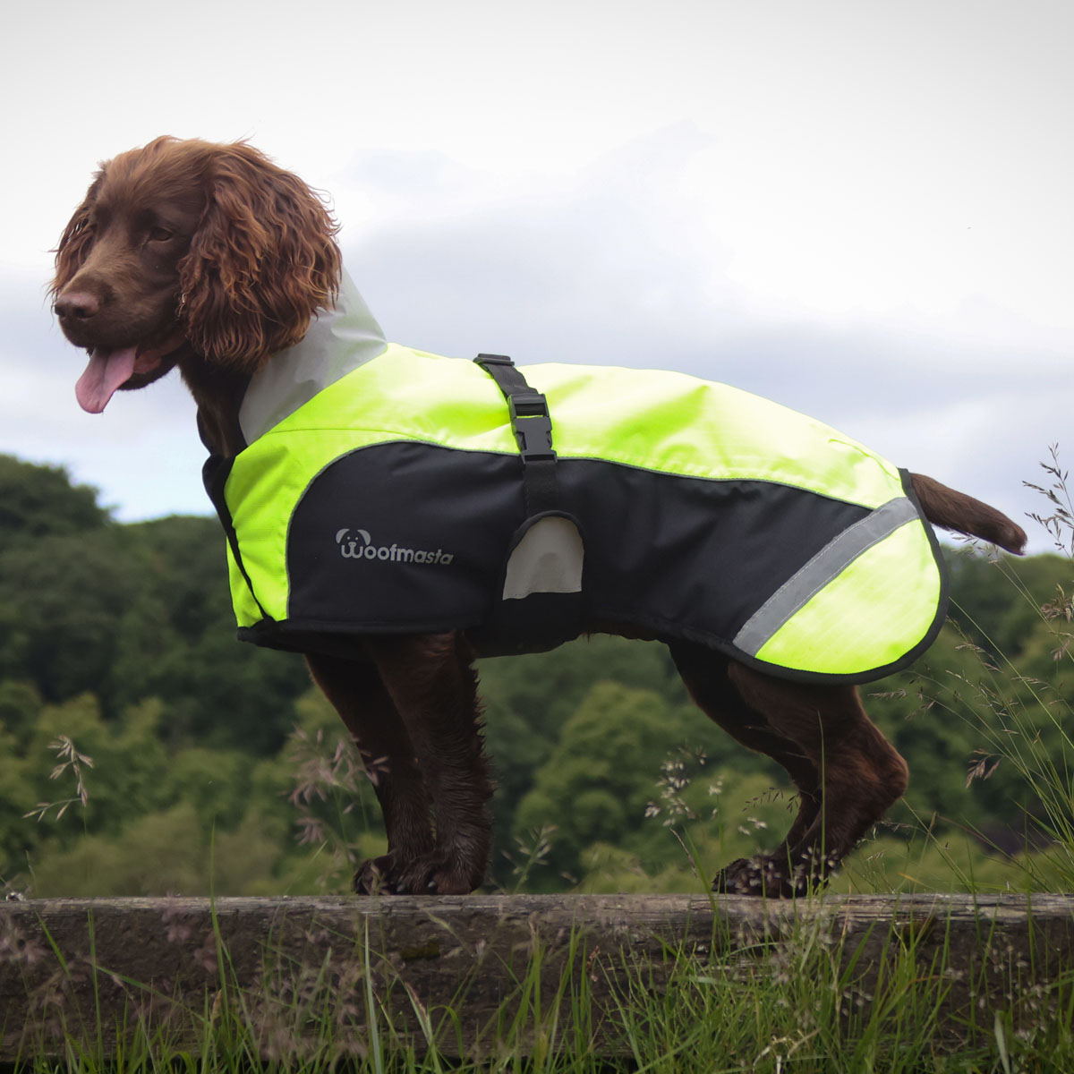 Woofmasta Hi Viz Waterproof Dog Coat Yellow