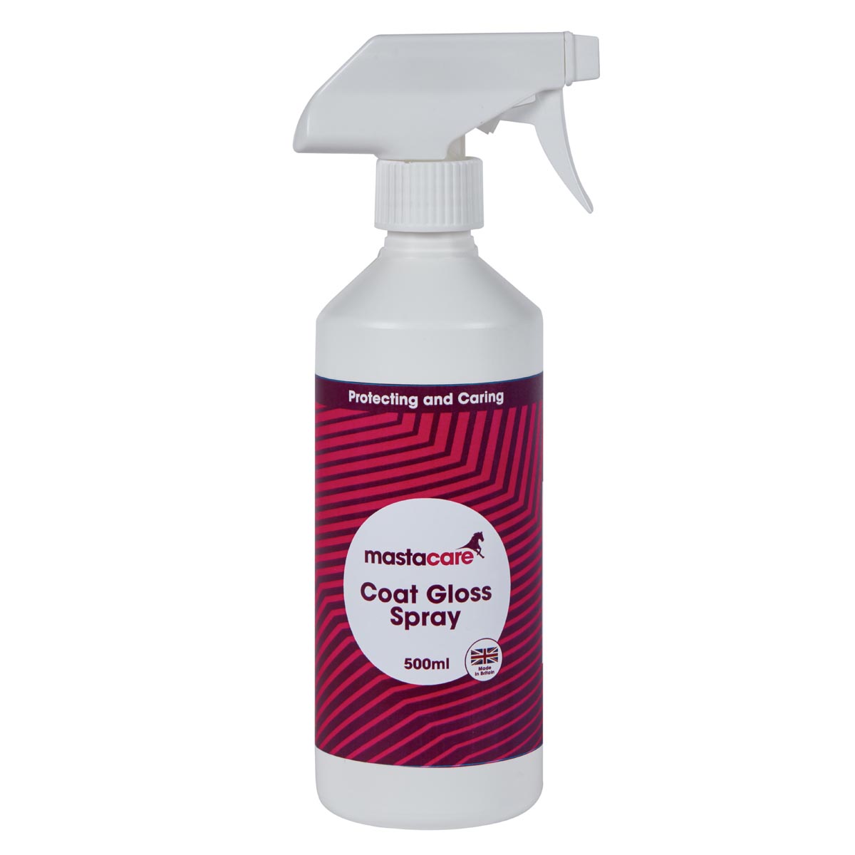 Mastacare Coat Gloss Spray 500ml 