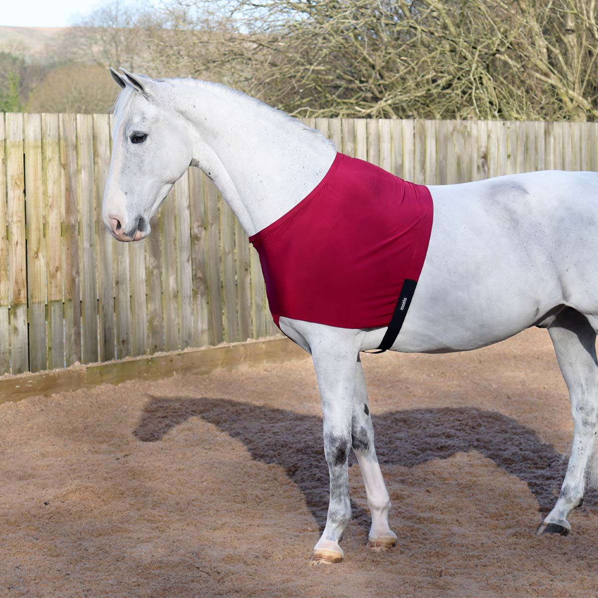 Masta Stretch Shoulder Bib Burgundy