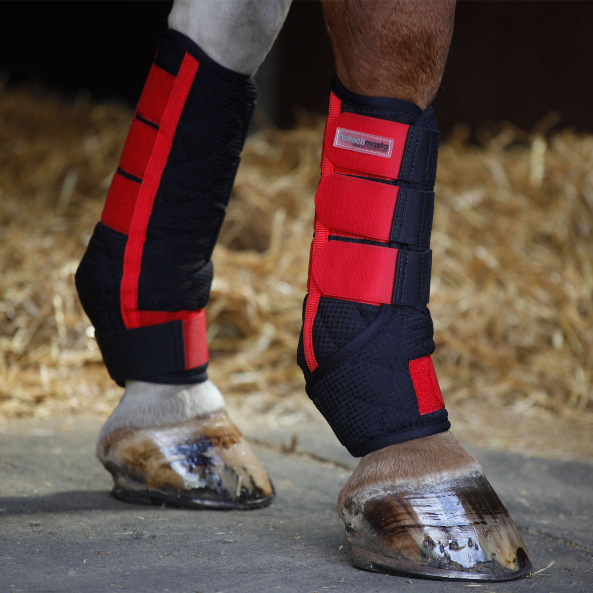 Protechmasta Far Infrared Therapy Stable Wraps Black