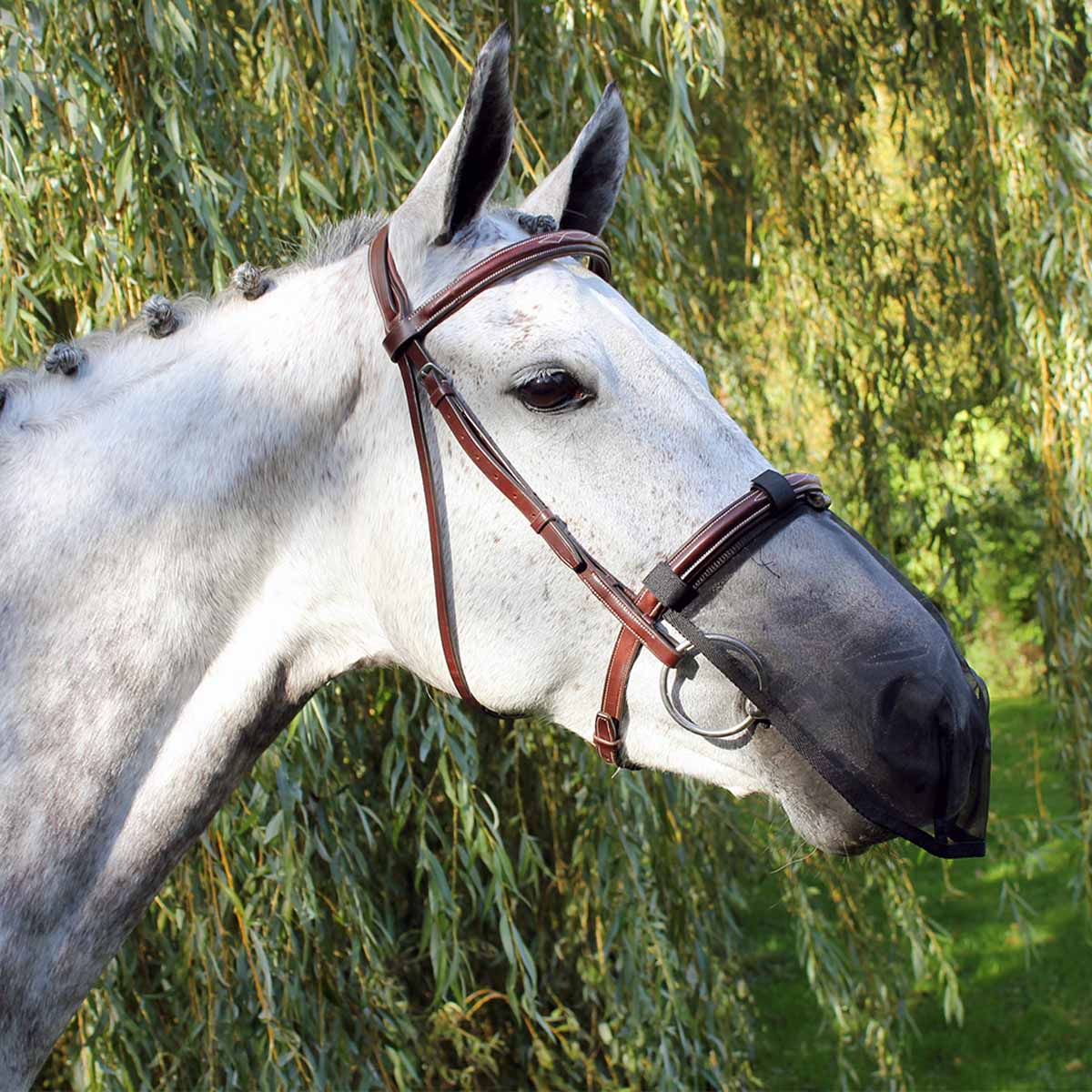 QHP Anti-fly nose protection Black