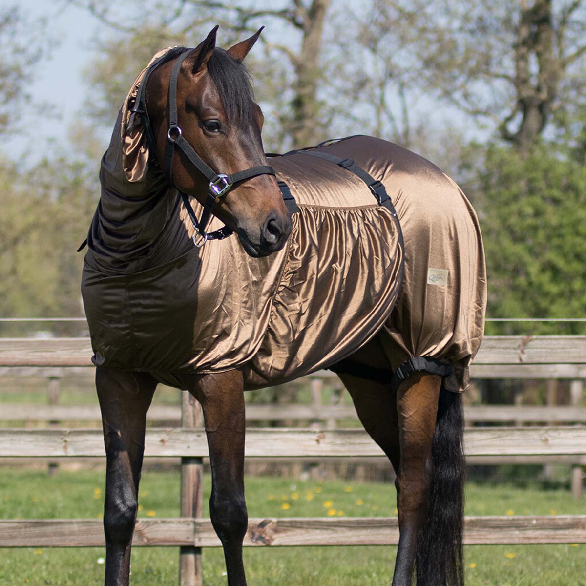 QHP Eczema Rug Brown