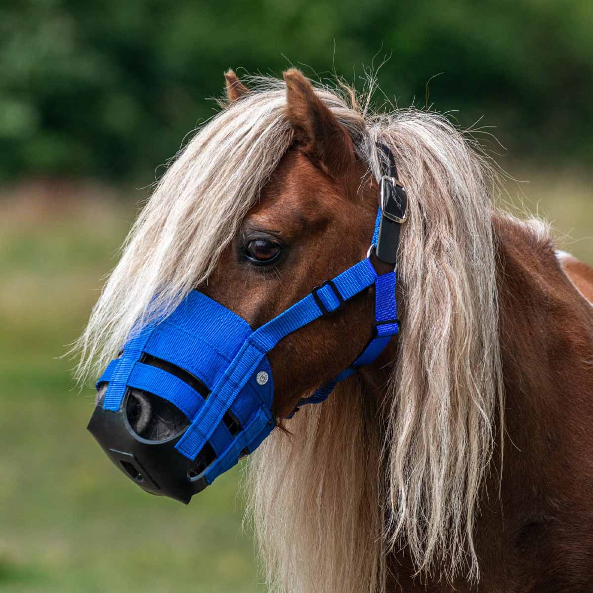 The Ultimate Grazing Muzzle Size Pony Blue