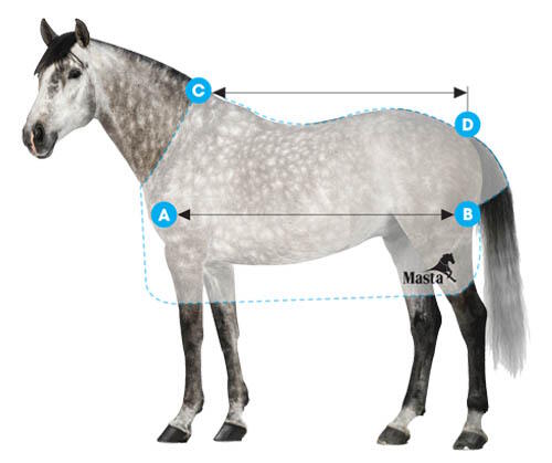 How to Measure your Horse How to Measure your Horse